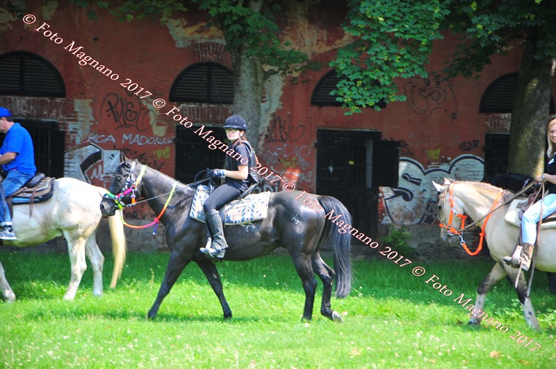 DSC_0935.JPG